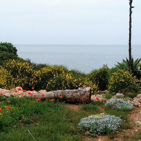 Villa Trullammare Monopoli Zimmer foto